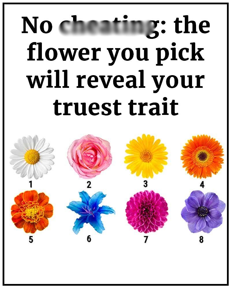 No Ch3ating. The Flower You Pick Will Reveal Your Truest Trait 😮👇