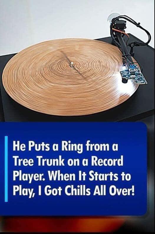 He Puts a Ring from a Tree Trunk on a Record Player. This Is the Most Extraordinary Sound of Nature I Have Ever Heard.Check out the video in the first comment👇👇