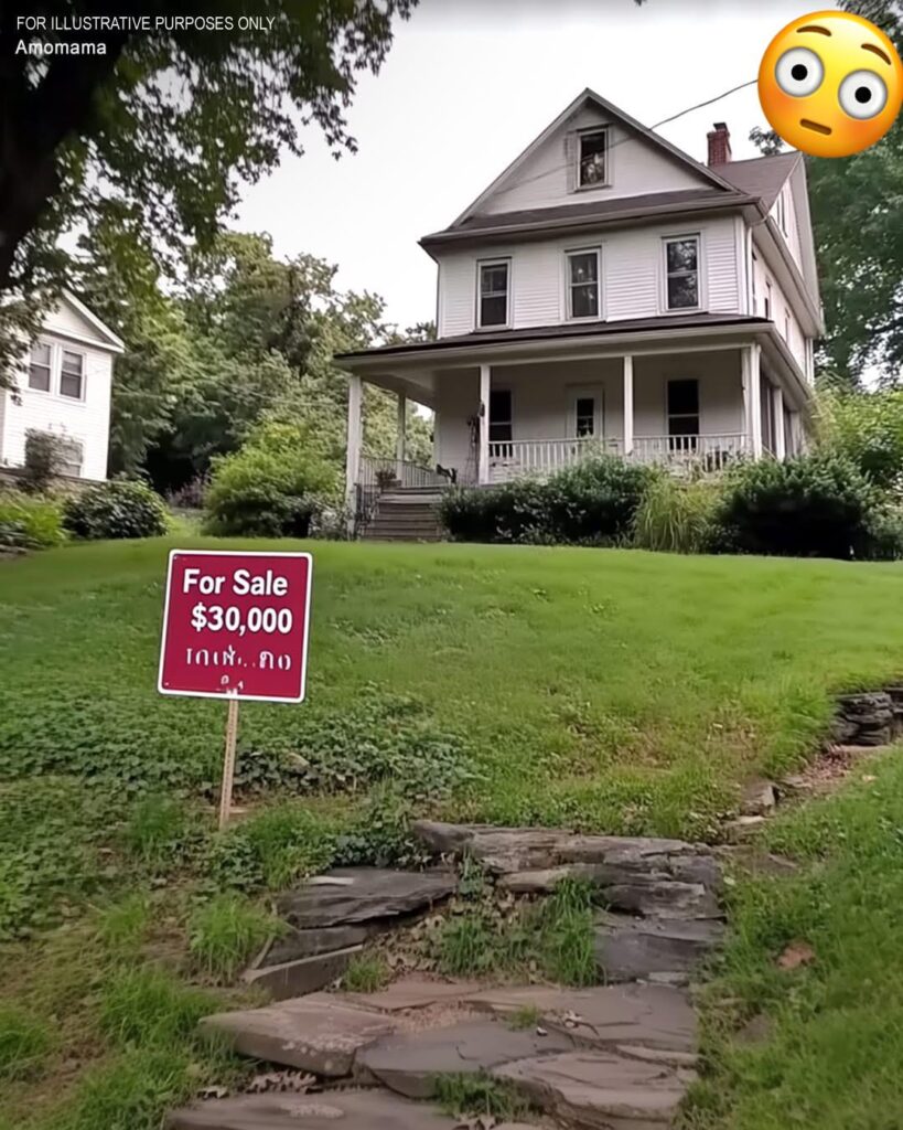 The House Was So Cheap I Thought I Won the Lottery, but When I Saw the Basement, I Understood Everything