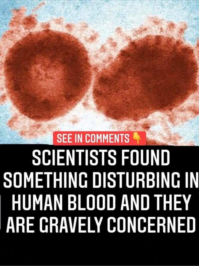 What they found is very disturbing 😨 Check the comments👇