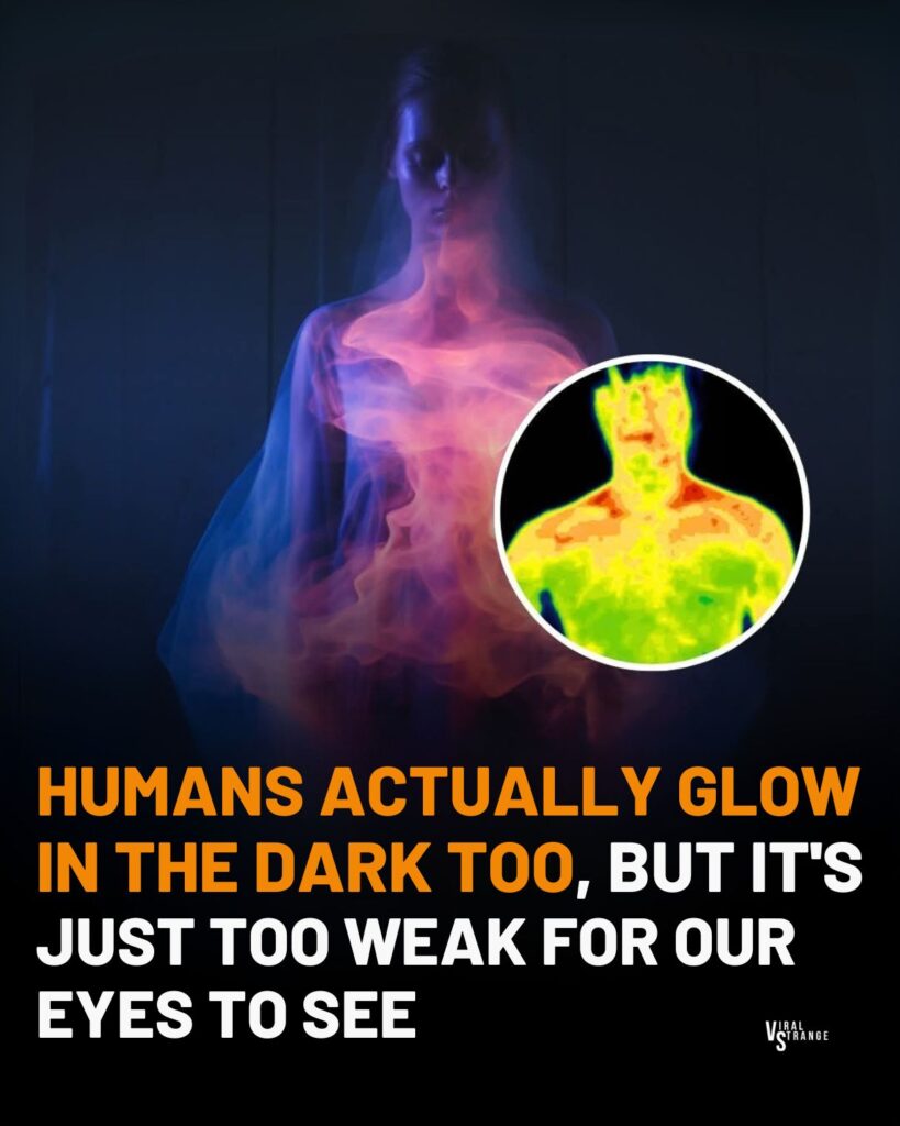 Humans actually emit a faint glow all the time, though it’s invisible to the naked eye. This isn’t just a sci-fi concept; it’s a biological fact. 🌌🔬