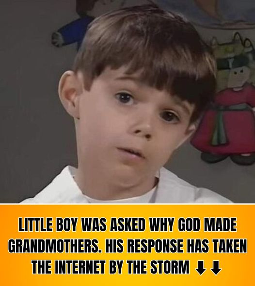 This cutie pie was asked “Why God Created Grandmas.” His answer has taken the internet by surprise. 😱☺ Check the video in the first comment👇‎